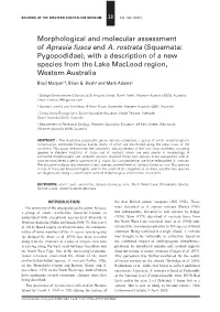 Morphological and Molecular Assessment of Aprasia Fusca and A