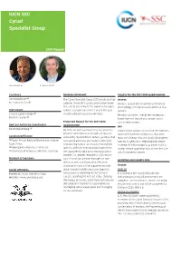 2019 IUCN SSC Cycad Specialist Group Report