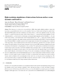 High-Resolution Simulations of Interactions Between Surface Ocean