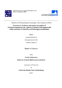 Master Thesis Work 2010