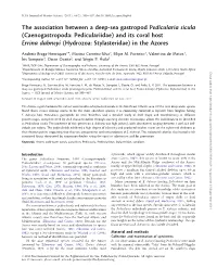The Association Between a Deep-Sea
