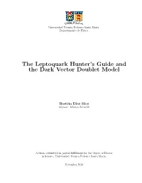 The Leptoquark Hunter's Guide and the Dark Vector Doublet Model