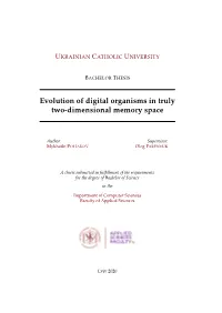 Evolution of Digital Organisms in Truly Two-Dimensional Memory Space
