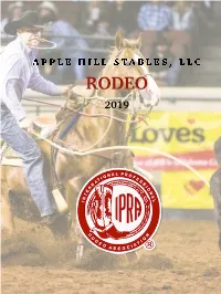 Rodeo Program3