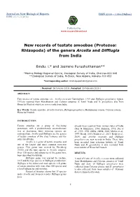 (Protozoa: Rhizopoda) of the Genera Arcella and Difflugia from India