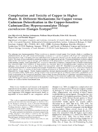 Complexation and Toxicity of Copper in Higher Plants. II. Different