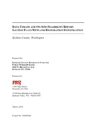 Data Update and On-Site Feasibility Report Saltese Flats Wetland