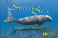 Sirenians and Sirens