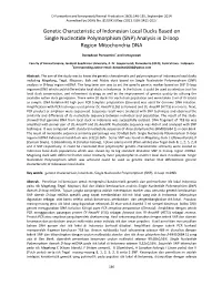 SNP) Analysis in D-Loop Region Mitochondria DNA