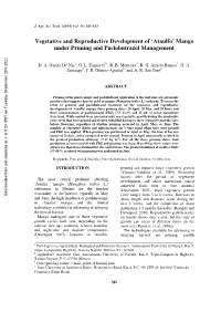 Ataulfo’ Mango Under Pruning and Paclobutrazol Management