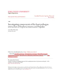 Investigating Components of the Host-Pathogen Interaction of Septoria Musiva and Populus Scott Albert Heuchelin Iowa State University