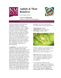 Aphids & Their Relatives