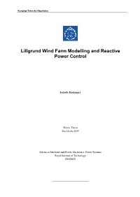Lillgrund Wind Farm Modelling and Reactive Power Control