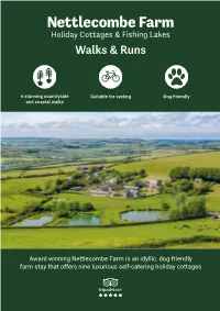 Our Walking Guide (PDF)