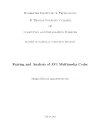 Fuzzing and Analysis of AV1 Multimedia Codec