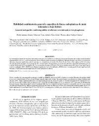 Habilidad Combinatoria General Y Específica De Líneas Endogámicas