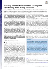 Interplay Between DNA Sequence and Negative Superhelicity Drives R-Loop Structures