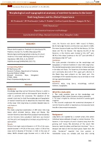 Morphological and Topographical Anatomy of Nutrient Foramina in the Lower Limb Long Bones and Its Clinical Importance KU Prashanth 1, BV Murlimanju 1, Latha V