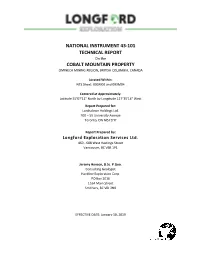 NI 43-101 and Author of This Report Is Jeremy Hanson