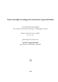 Traits in the Light of Ecology and Conservation of Ground Beetles