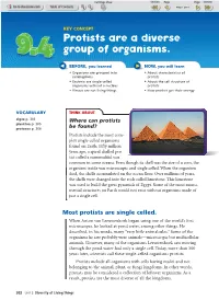 Protists Are a Diverse Group of Organisms
