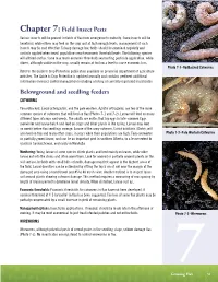Chapter 7:Field Insect Pests Belowground and Seedling Feeders