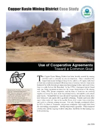 Copper Basin Mining District Case Study