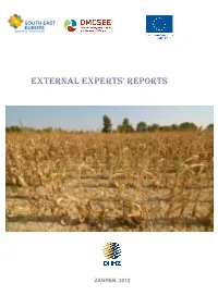 External Experts' Reports