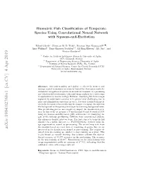 Biometric Fish Classification of Temperate Species Using Convolutional Neural Network with Squeeze-And-Excitation