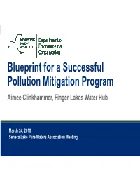 Blueprint for a Successful Blueprint for a Successful Pollution Mitigation