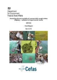 Assessing Discard Mortality of Commercially Caught Skates (Rajidae) – Validation of Experimental Results