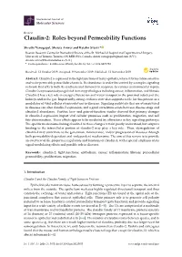 Claudin-2: Roles Beyond Permeability Functions
