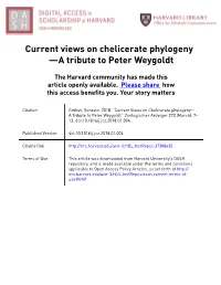 Current Views on Chelicerate Phylogeny —A Tribute to Peter Weygoldt