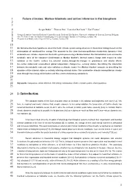 Future Climates: Markov Blankets and Active Inference in the Biosphere