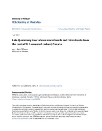 Late Quaternary Invertebrate Macrofossils and Microfossils from the Central St