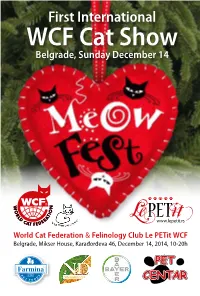WCF Cat Show Belgrade, Sunday December 14