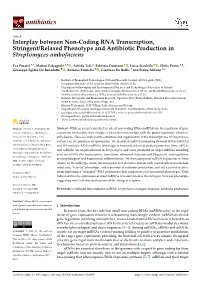 Interplay Between Non-Coding RNA Transcription, Stringent/Relaxed Phenotype and Antibiotic Production in Streptomyces Ambofaciens