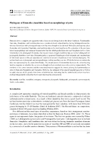 Phylogeny of Eunicida (Annelida) Based on Morphology of Jaws
