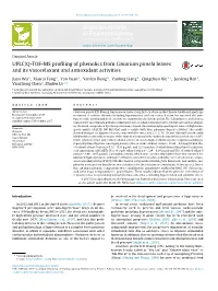 UPLC/Q-TOF-MS Profiling of Phenolics from Canarium Pimela