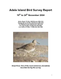 Adele Island Bird Survey Report
