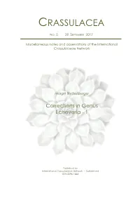 Crassulacea No 5