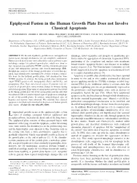 Epiphyseal Fusion in the Human Growth Plate Does Not Involve Classical Apoptosis