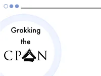 Grokking the CPAN