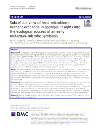 Subcellular View of Host–Microbiome Nutrient Exchange in Sponges