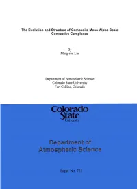 The Evolution and Structure of Composite Meso-Alpha-Scale Convective Complexes
