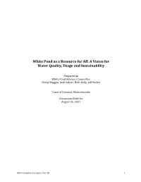 White Pond As a Resource for All: a Vision for Water Quality, Usage and Sustainability