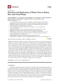 Detection and Replication of Moku Virus in Honey Bees and Social Wasps