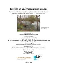 Effects of Vegetation in Channels