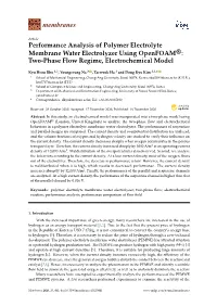 Performance Analysis of Polymer Electrolyte Membrane Water Electrolyzer Using Openfoam®: Two-Phase Flow Regime, Electrochemical Model