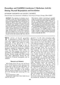 Peroxidase and NADPH-Cytochrome C Reductase Activity During Thyroid Hyperplasia and Involution